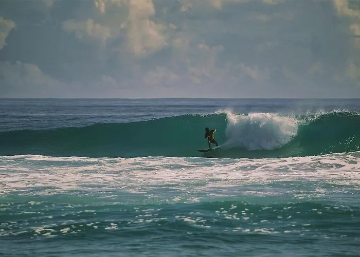 Djabu Echo Canggu